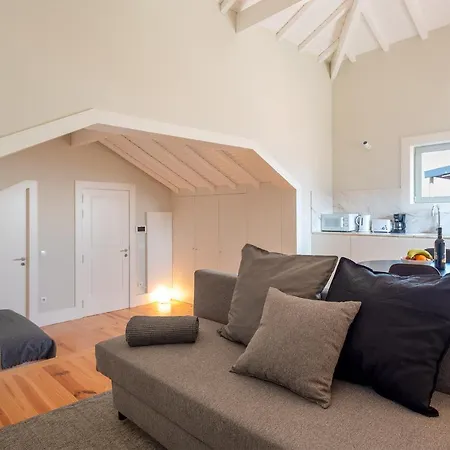 Rooftop Studio By Homing Apartment Porto